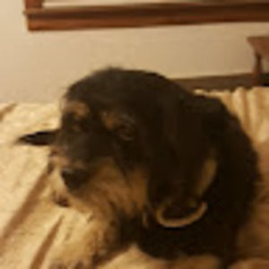 Meet your Posher, Lilia